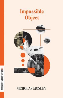 Impossible Object 1