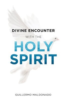 Divine Encounter with the Holy Spirit 1
