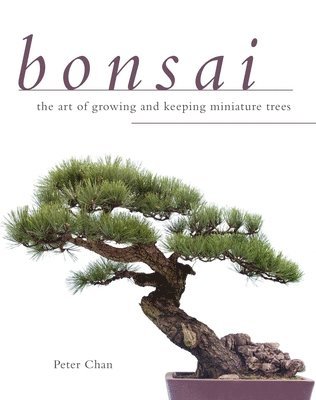 Bonsai: The Art of Growing and Keeping Miniature Trees 1