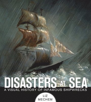 bokomslag Disasters at Sea