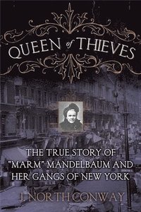 bokomslag Queen of Thieves