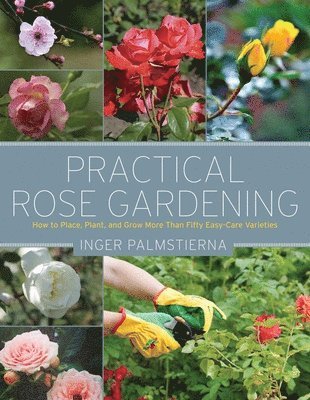 Inger Palmstierna - Practical Rose Gardening, Häftad. Tillgänglighet: Tillfälligt slut