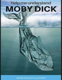bokomslag Help Me Understand Moby Dick!