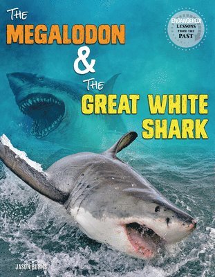 The Megalodon and the Great White Shark 1