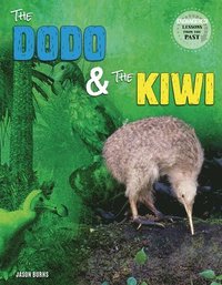 bokomslag The Dodo and the Kiwi