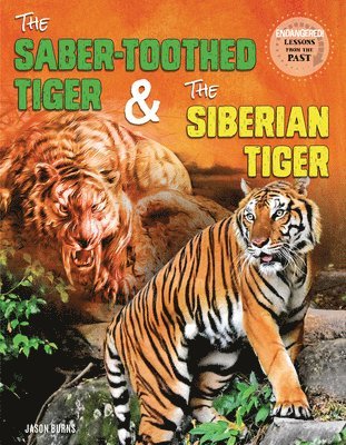 The Saber-Toothed Tiger and the Siberian Tiger 1
