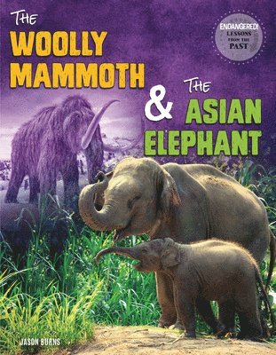 The Woolly Mammoth and the Asian Elephant 1