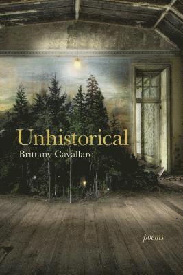 Unhistorical: Poems 1