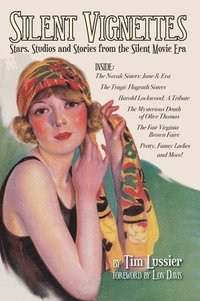 bokomslag Silent Vignettes (hardback)