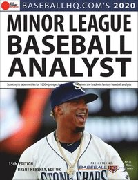bokomslag 2020 Minor League Baseball Analyst