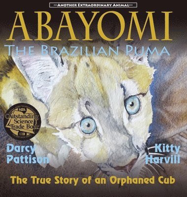 Abayomi, the Brazilian Puma 1