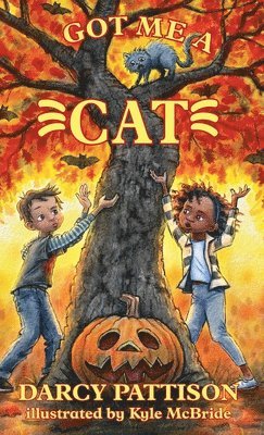 Darcy Pattison - Got Me a Cat, Inbunden