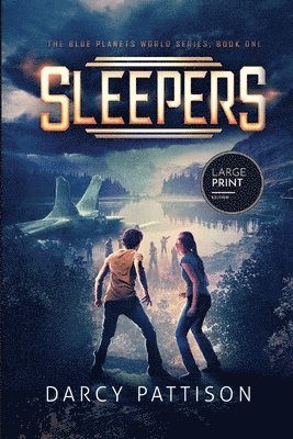 bokomslag Sleepers