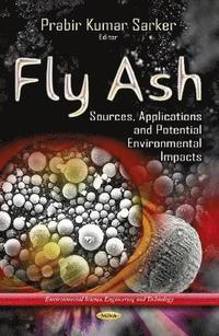 bokomslag Fly Ash