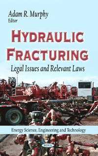 bokomslag Hydraulic Fracturing