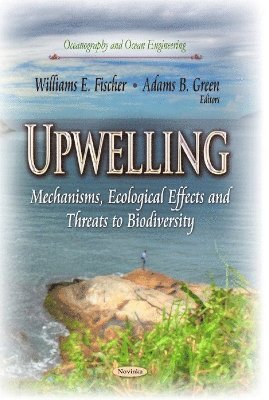 bokomslag Upwelling