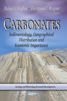 bokomslag Carbonates