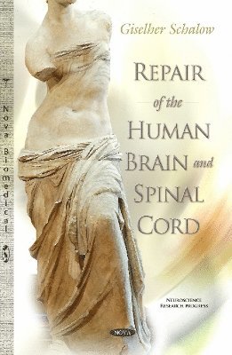 bokomslag Repair of the Human Brain & Spinal Cord