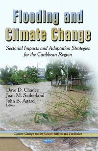 bokomslag Flooding & Climate Change