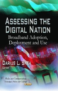 bokomslag Assessing the Digital Nation