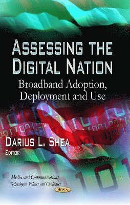 bokomslag Assessing the Digital Nation