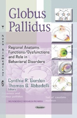 bokomslag Globus Pallidus