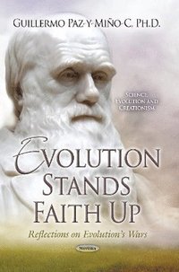 bokomslag Evolution Stands Faith Up