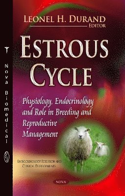 bokomslag Estrous Cycle