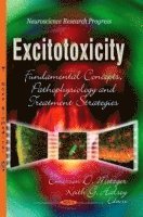 bokomslag Excitotoxicity