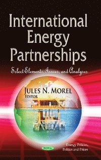 bokomslag International Energy Partnerships