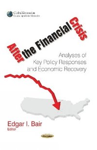 bokomslag After the Financial Crisis