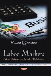 bokomslag Labor Markets