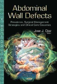 bokomslag Abdominal Wall Defects