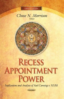 bokomslag Recess Appointment Power