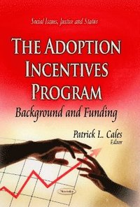 bokomslag Adoption Incentives Program