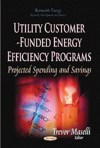 bokomslag Utility Customer-Funded Energy Efficiency Programs