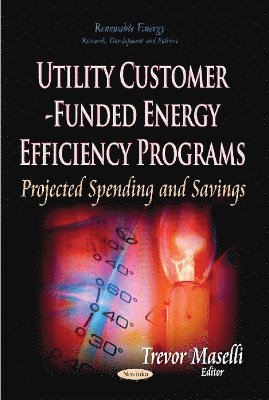 bokomslag Utility Customer-Funded Energy Efficiency Programs
