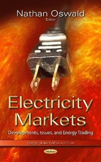 bokomslag Electricity Markets