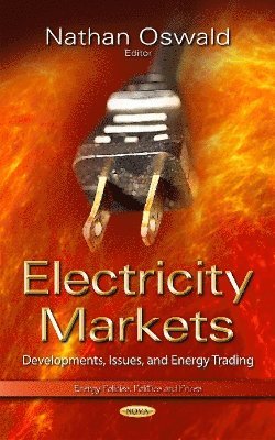 bokomslag Electricity Markets