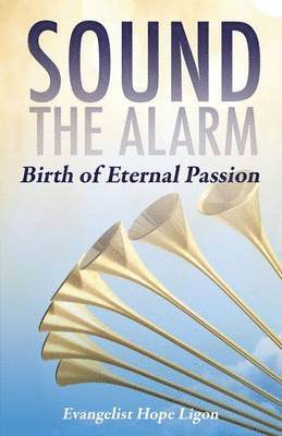 bokomslag Sound the Alarm