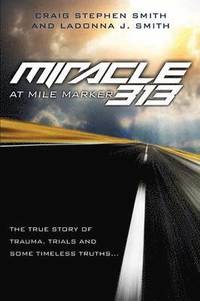 bokomslag Miracle at Mile Marker 313