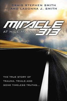 Miracle at Mile Marker 313 1