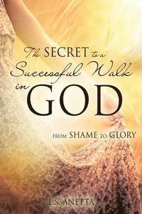 bokomslag Secret to a Successful Walk in God