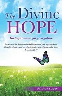 bokomslag Divine Hope