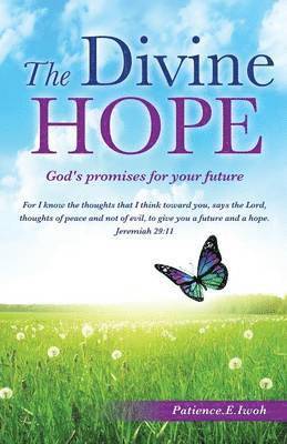 bokomslag Divine Hope