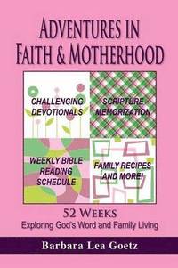 bokomslag Adventures in Faith & Motherhood