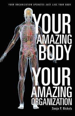 Your Amazing Body Your Amazing Organization 1