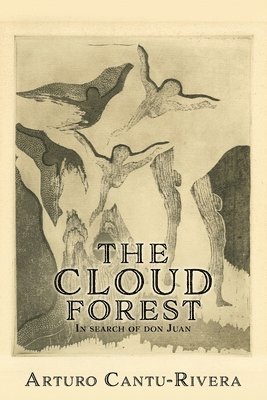 bokomslag Cloud Forest
