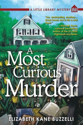 A Most Curious Murder 1