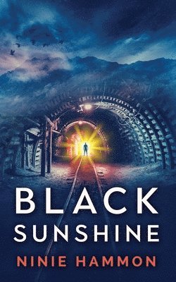 bokomslag Black Sunshine